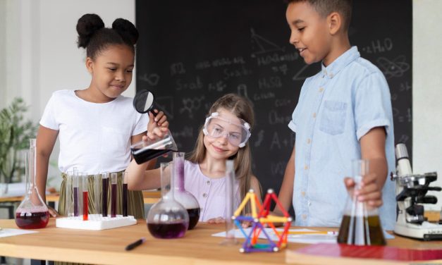 Raising Curious Thinkers at Home: A Budget-Smart Foundation for STEM Play