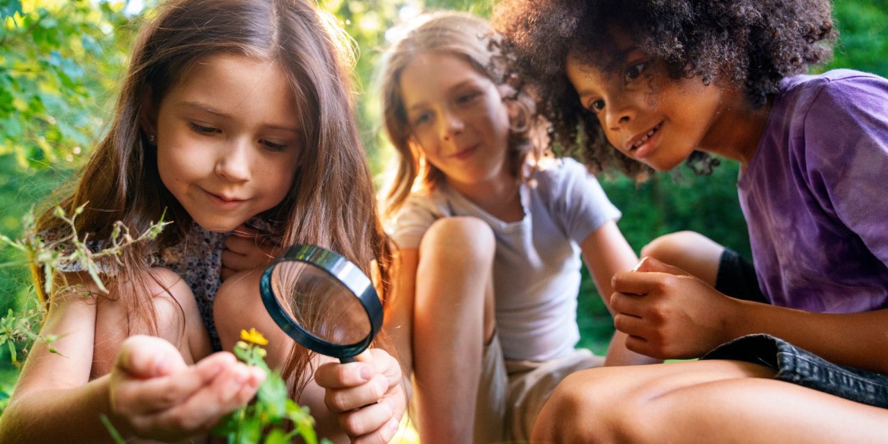 Backyard Science That Sticks: Nature-Based STEM Adventures Kids Actually Remember