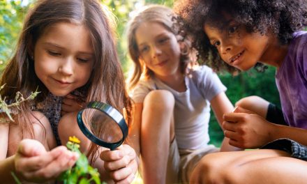 Backyard Science That Sticks: Nature-Based STEM Adventures Kids Actually Remember